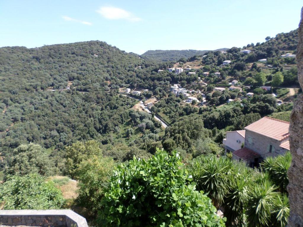 Appartement De Charme Entre Mer Et Montagne Sollacaro 외부 사진